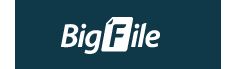 Bigfile Premium Account PayPal Reseller